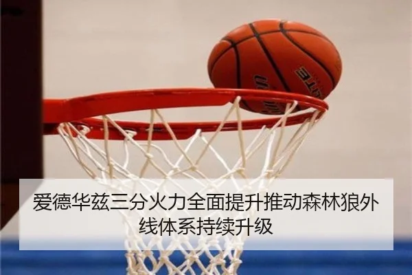 爱德华兹三分火力全面提升推动森林狼外线体系持续升级